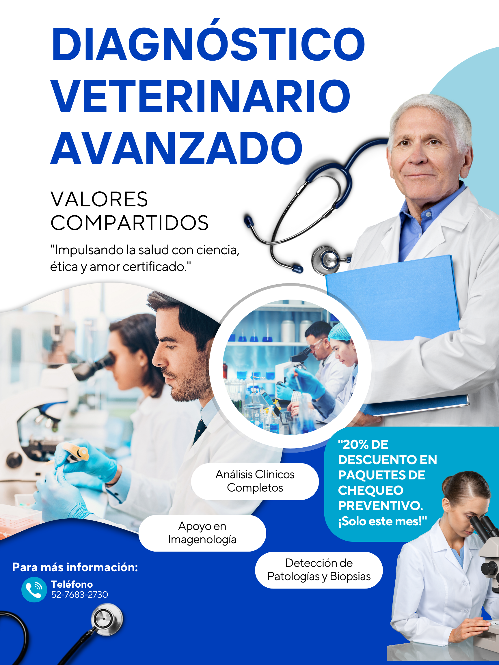 Proveedor 4