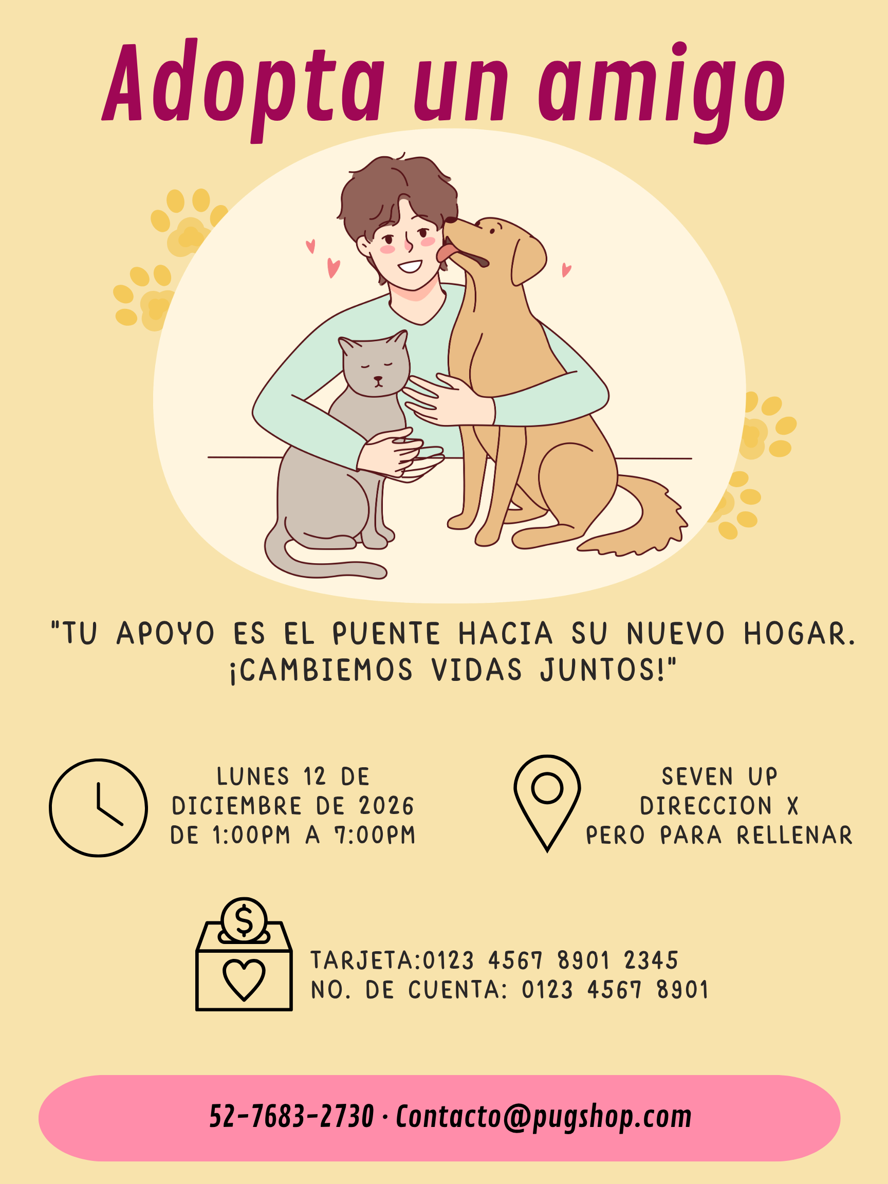 Campaña 4