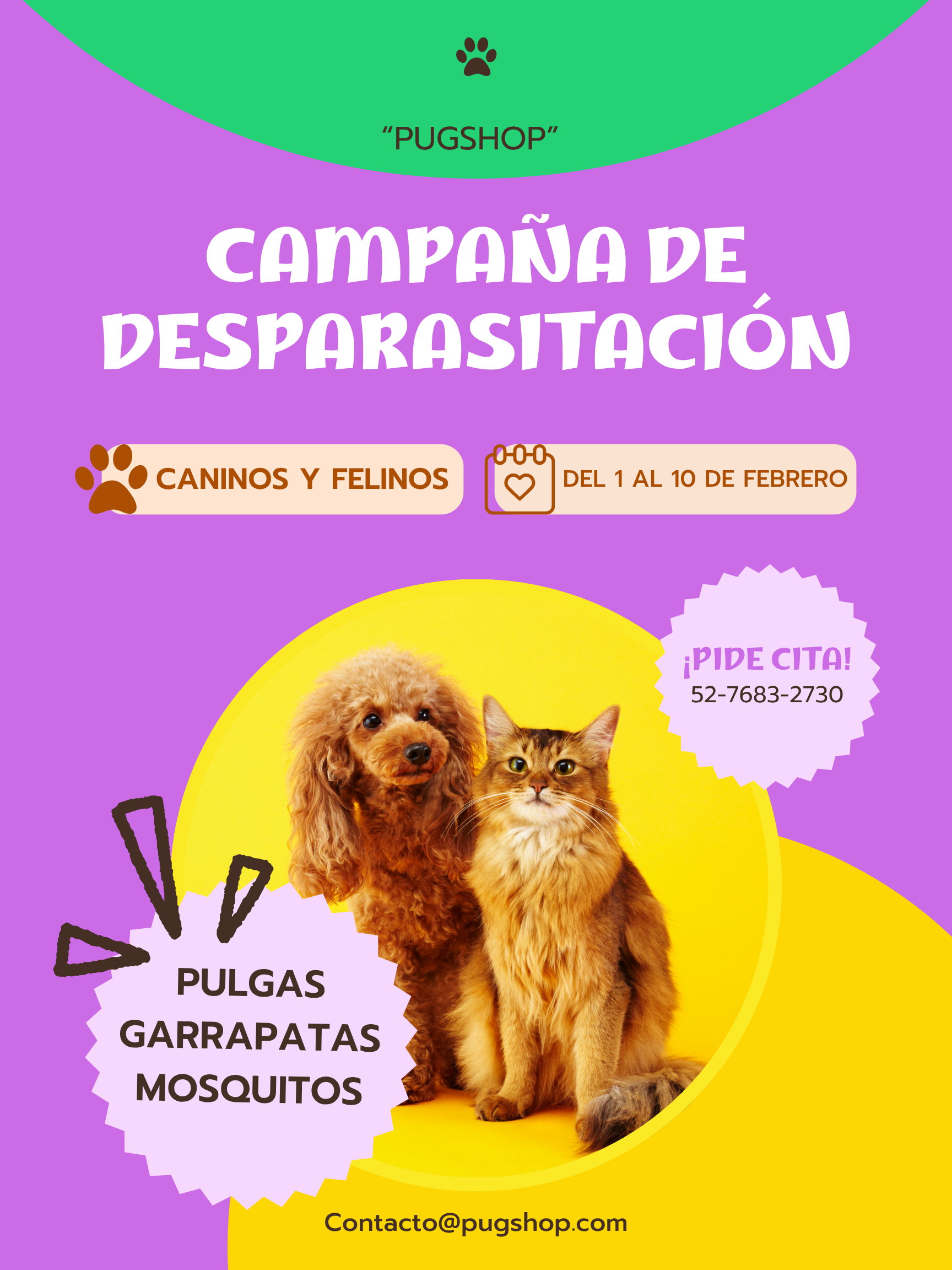 Campaña 2