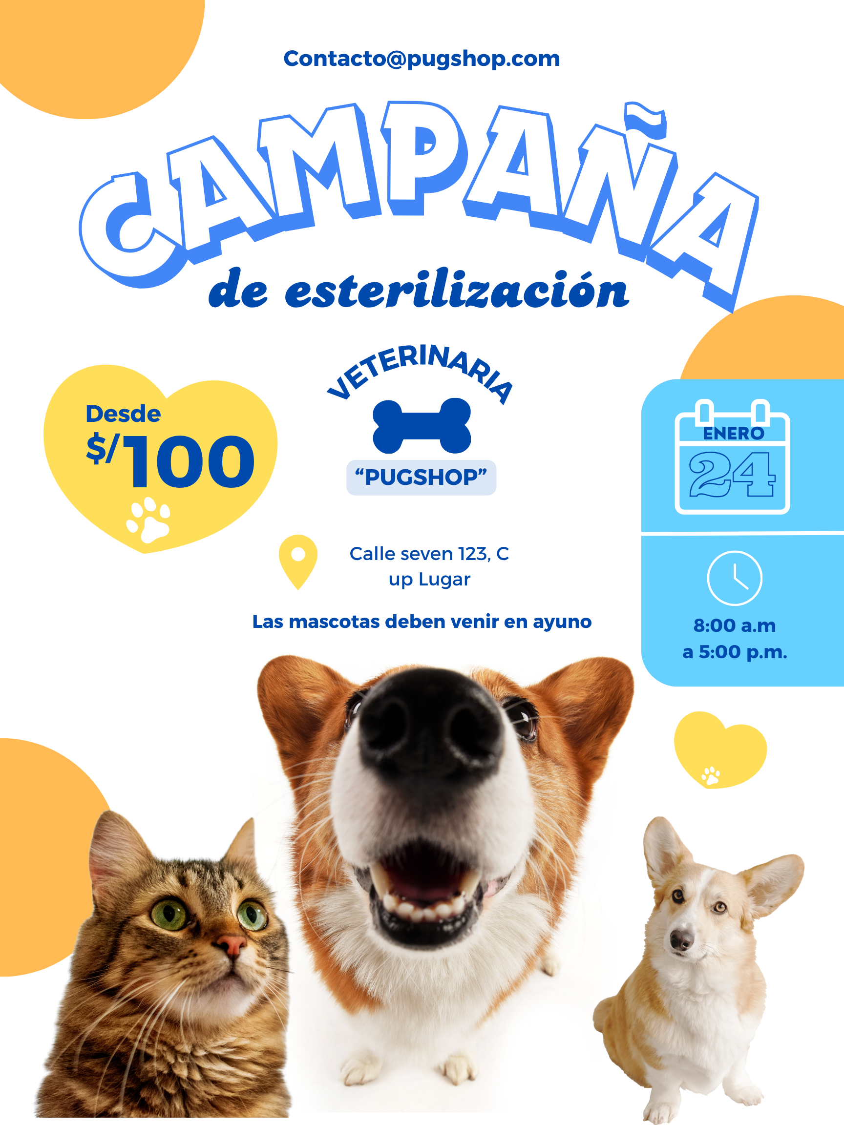 Campaña 1