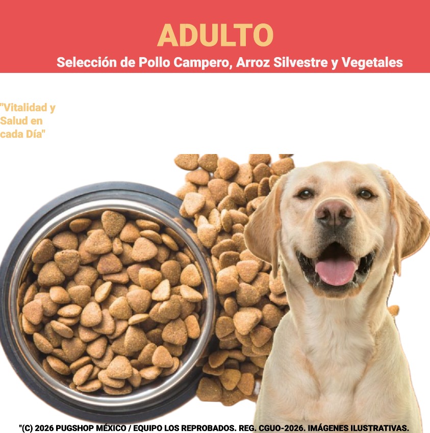 Adulto