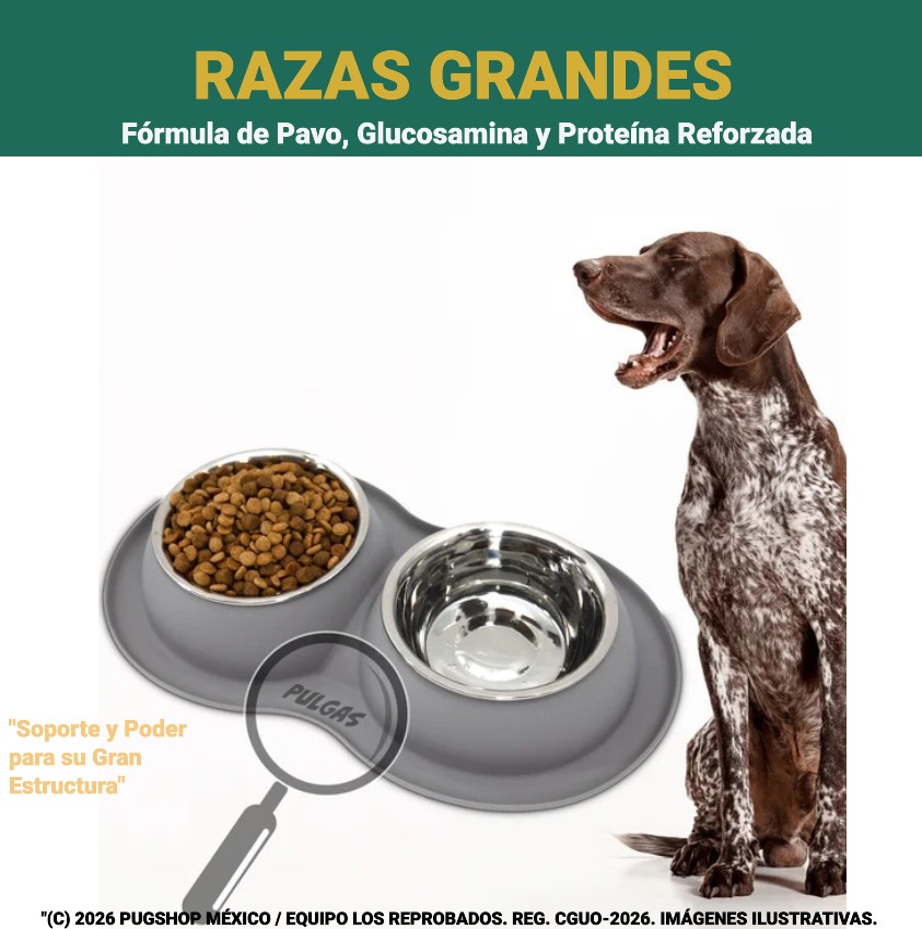 Raza Grande