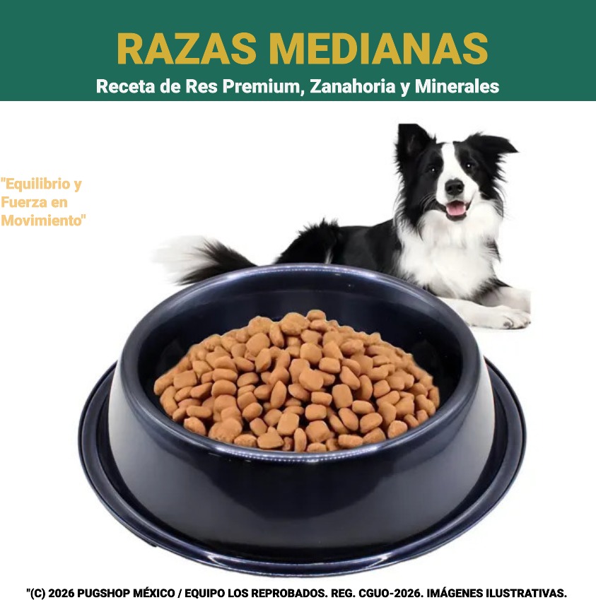 Raza Mediana