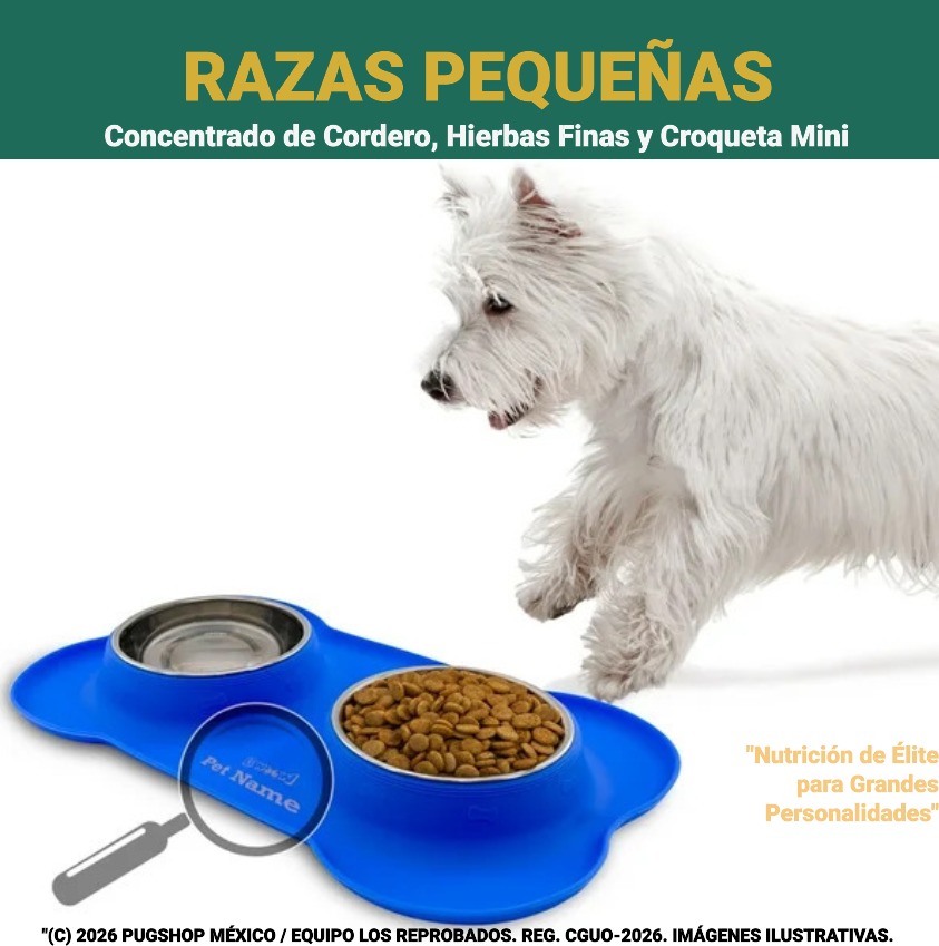 Raza Pequeña
